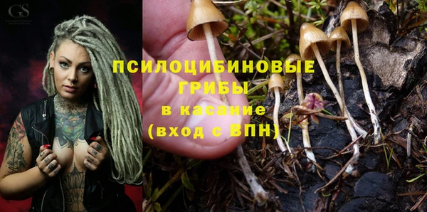 MESCALINE Сосновоборск