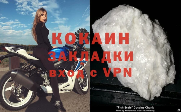 бошки Белокуриха