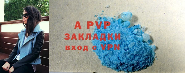 бошки Белокуриха