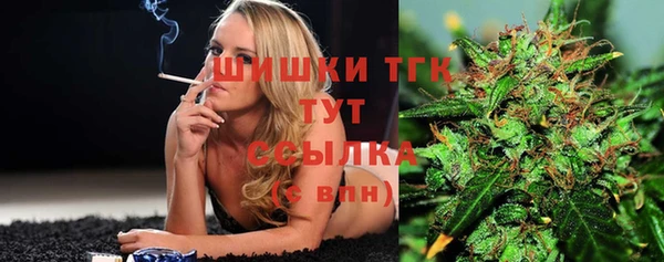 бошки Белокуриха