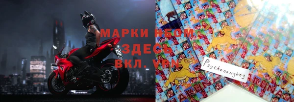 бошки Белокуриха