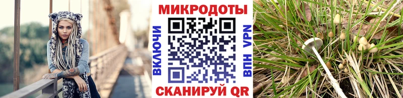 продажа наркотиков  Юрюзань  Псилоцибиновые грибы Psilocybine cubensis 